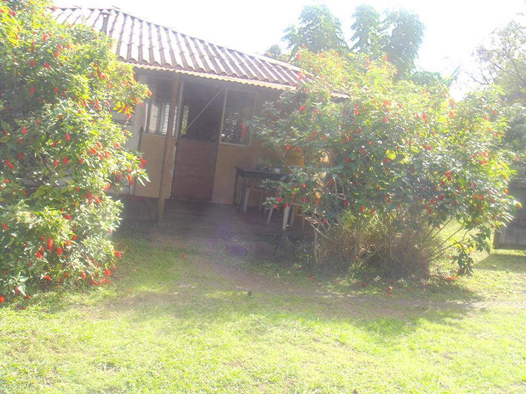 הנגה רואה Cabanas Varua חדר תמונה